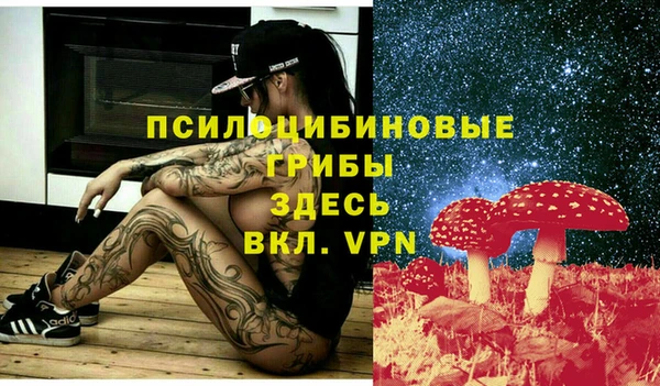 первитин Касимов