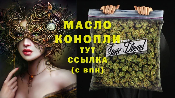 стаф Козловка