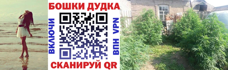 Шишки марихуана MAZAR  Купить где  Онега 